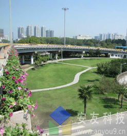 城市立体绿化高架桥绿化设计及施工案例介绍